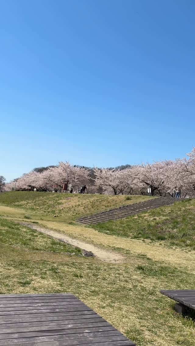 今日は山形市で楽しいお花見に行ってまいりました！多くの方々に