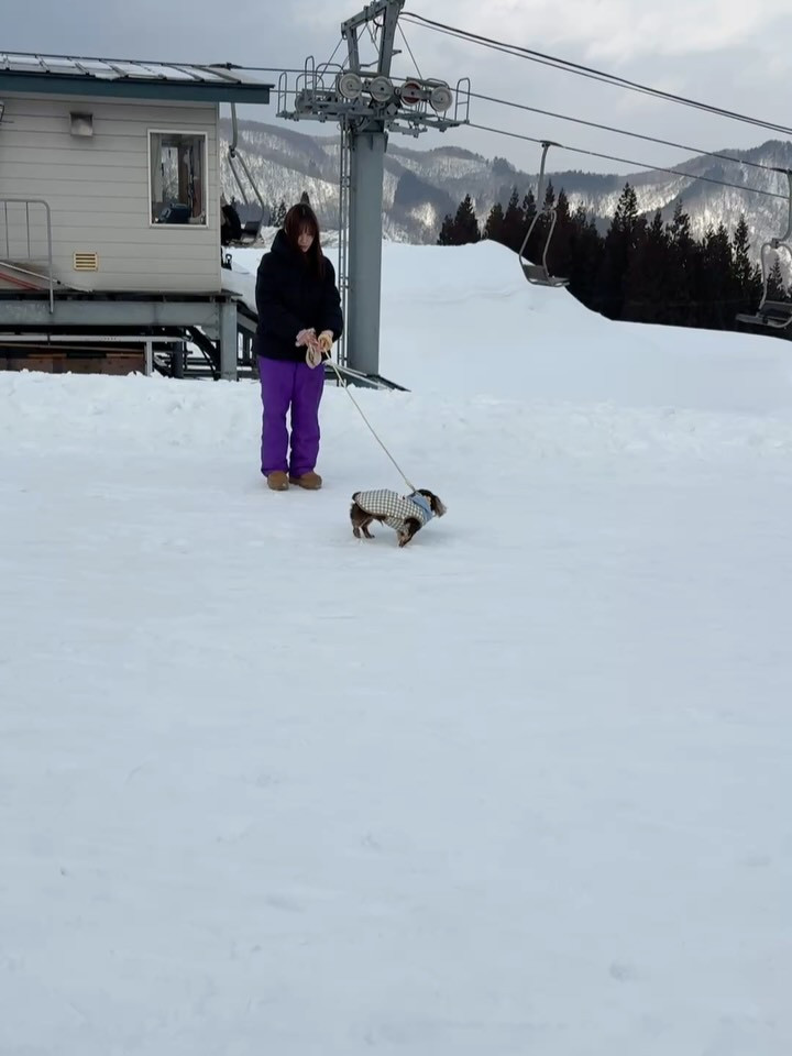 娘とお友達、そして可愛い愛犬のケンシローと一緒に朝日自然観