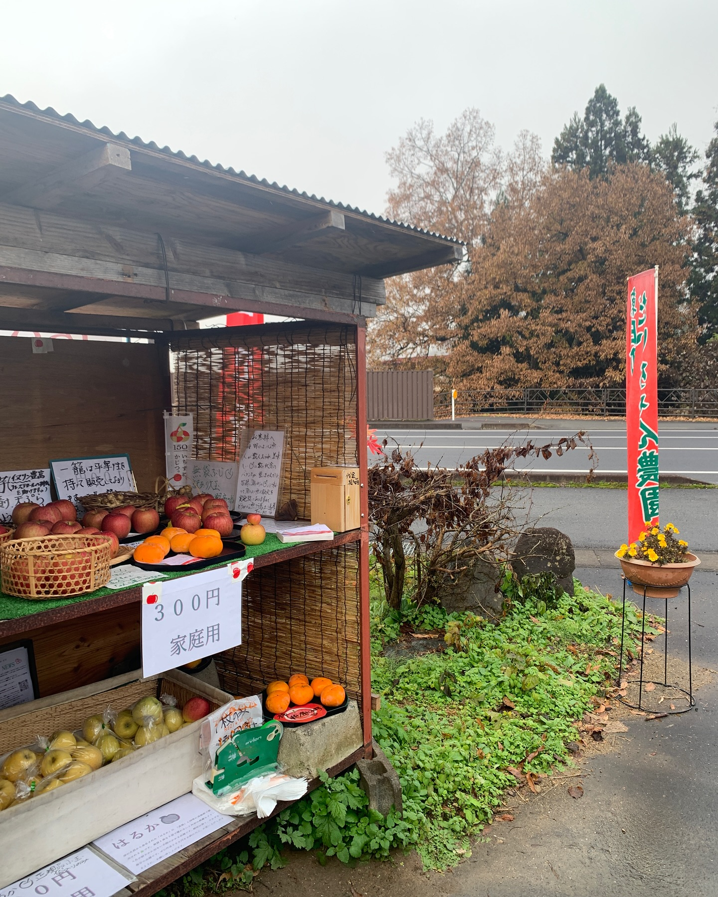 おはようございます