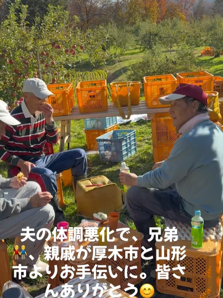 今年もフジりんごの収穫が無事に完了しました！✨多忙な中、大切