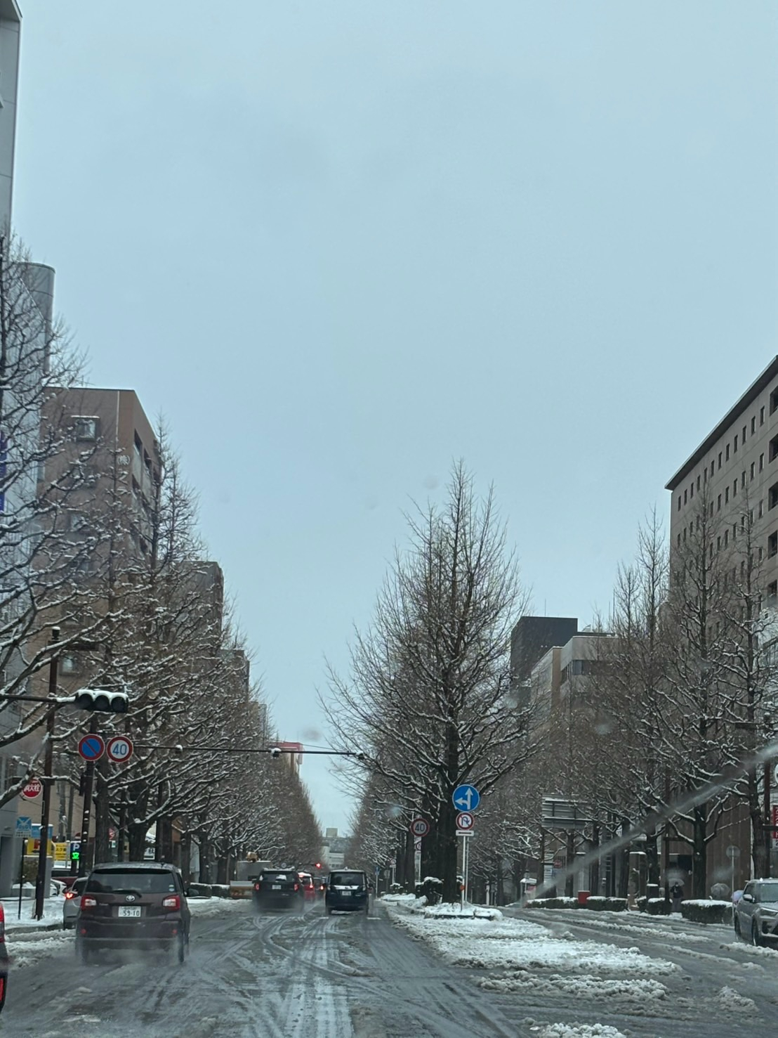 こんにちは ただいま帰宅しました！6日間の留守で、皆様にはご