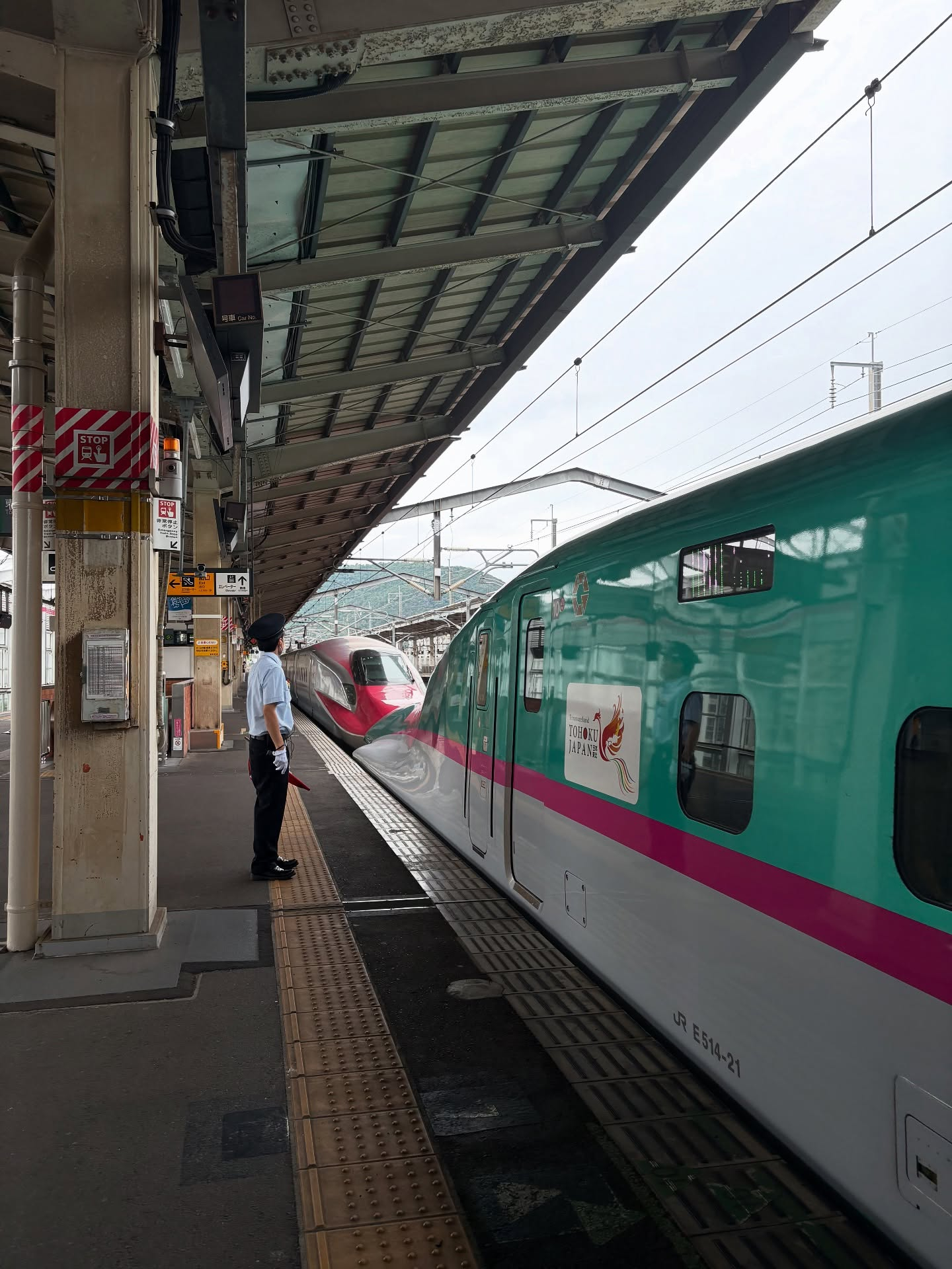 こんにちは！日本食生活改善推進協議会の北海道・東北ブロック大