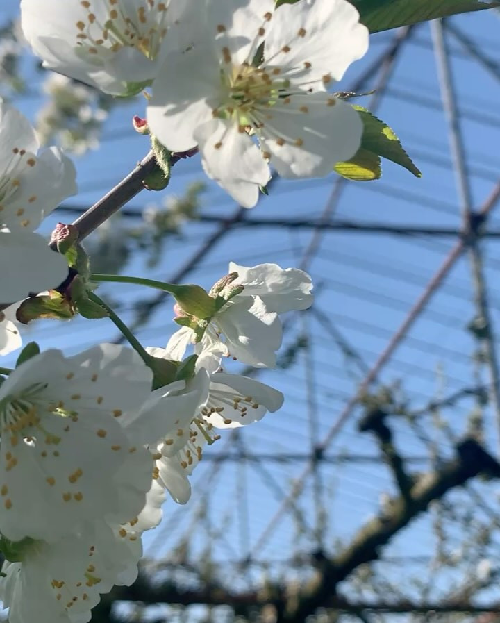 おはようございます！朝のメニューをちょっとだけご紹介しますね