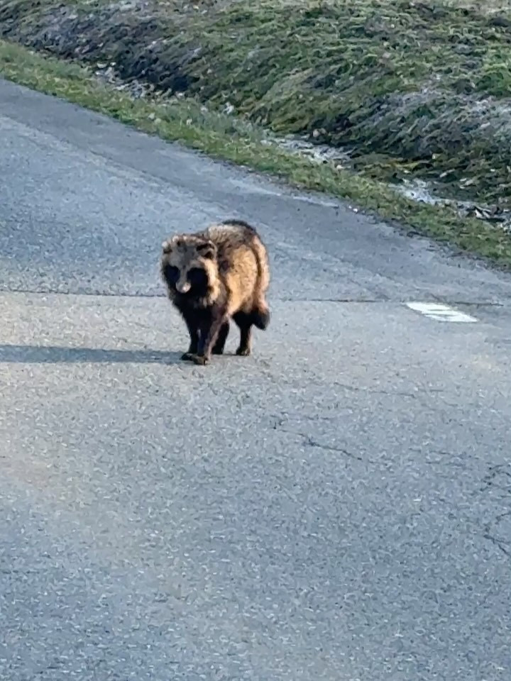 こんばんは！わが宿からの素敵なエピソードをいただきました✨