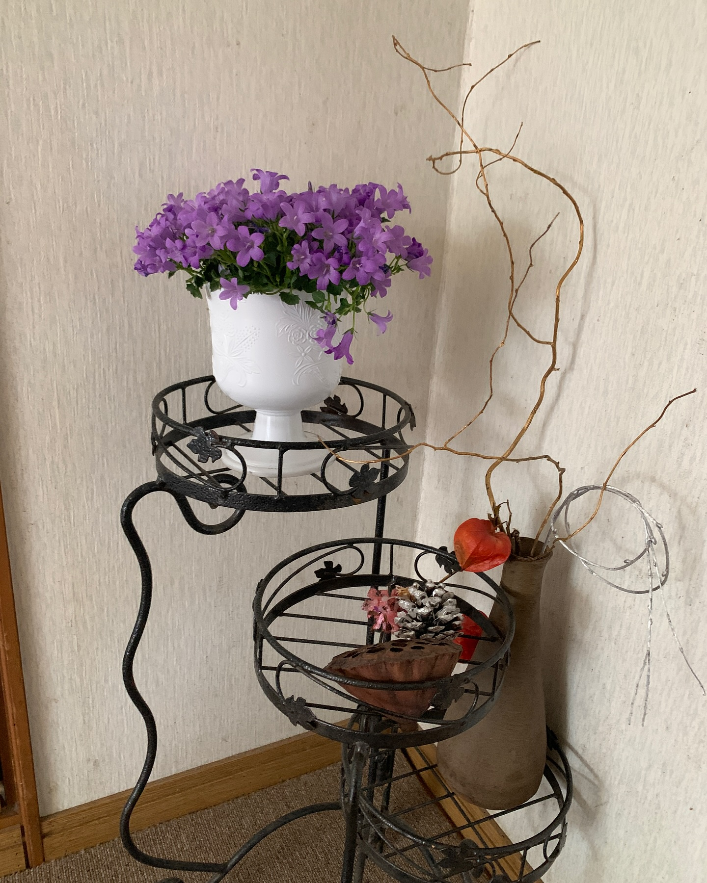 春の訪れとともに、私たちの民宿でも新しい命が満ち溢れています