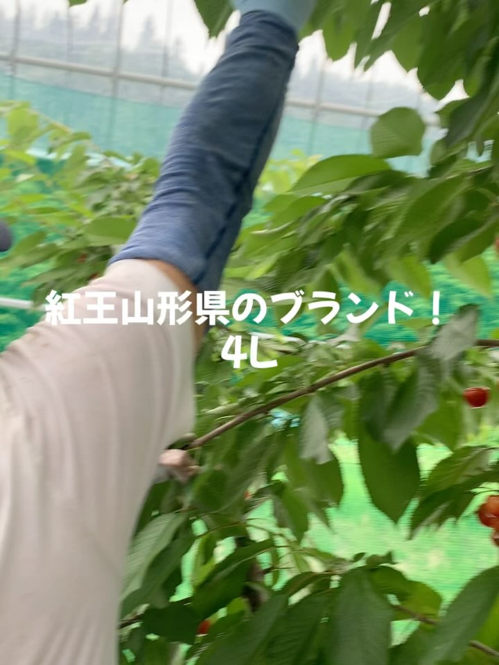 ようこそ！私たちの民宿へ