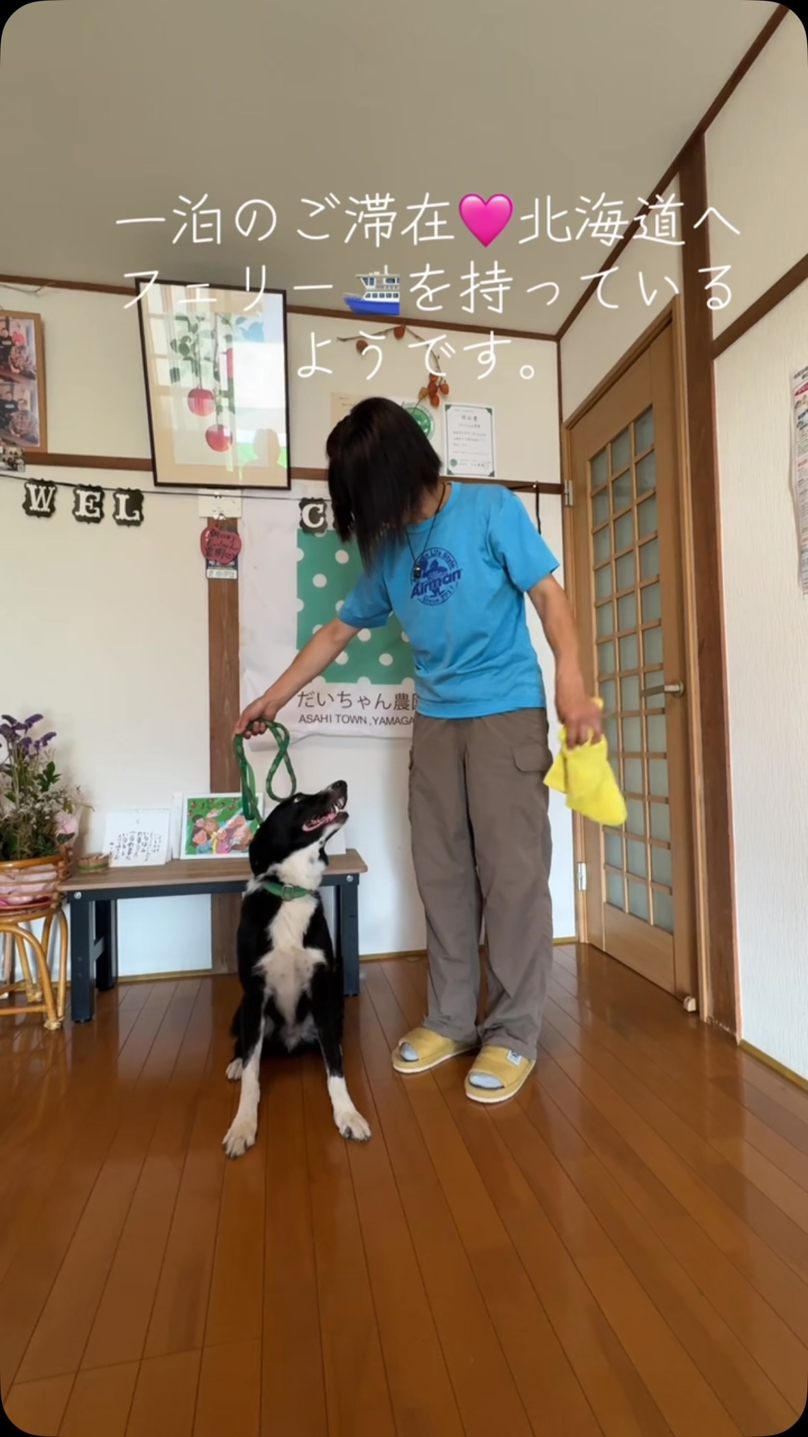 ペットとご一緒に、心からおくつろぎください