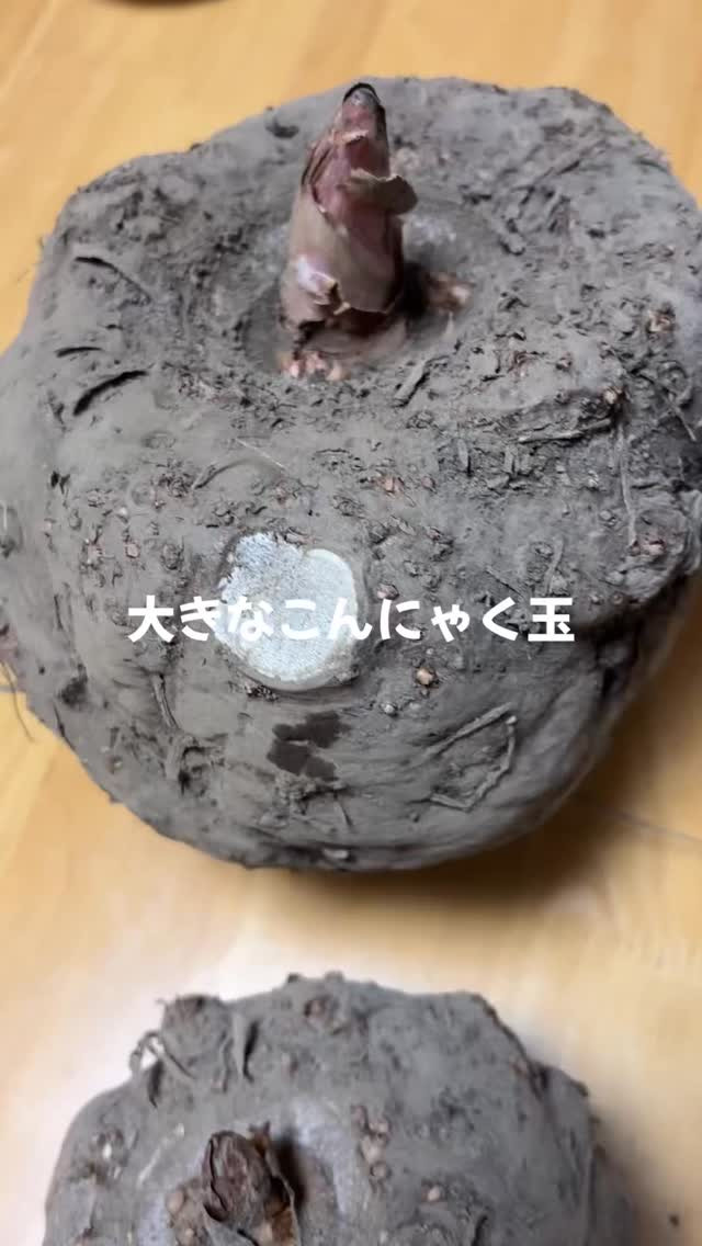 今日はだいちゃん農園ゲストハウスに素敵な出来事がありました！