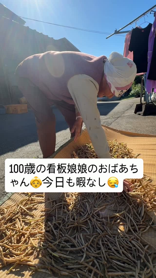 今日は晴れていて、心も明るくなりますね✨