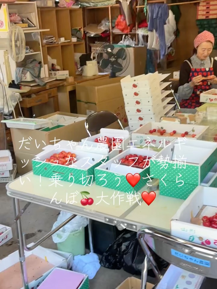 こんばんは