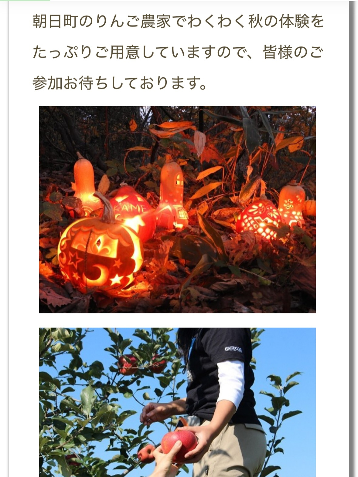 こんにちは皆様✨