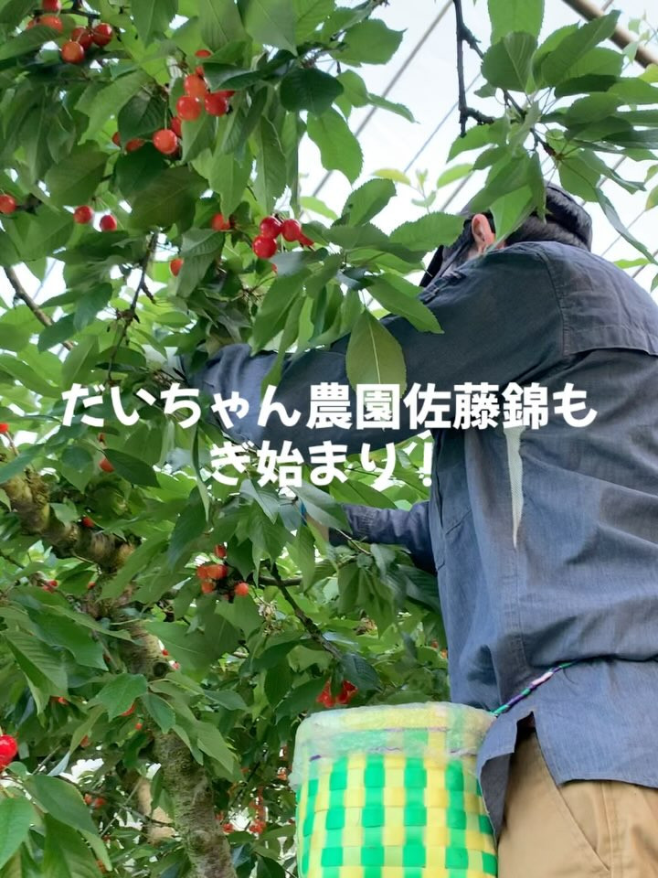 こんにちは！今日は素敵なお知らせです✨
