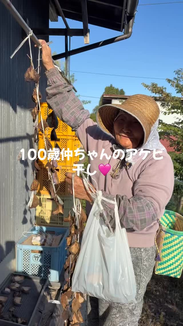 百歳を超える我々の誇り、仲代ばあちゃんが今日も大活躍中です！