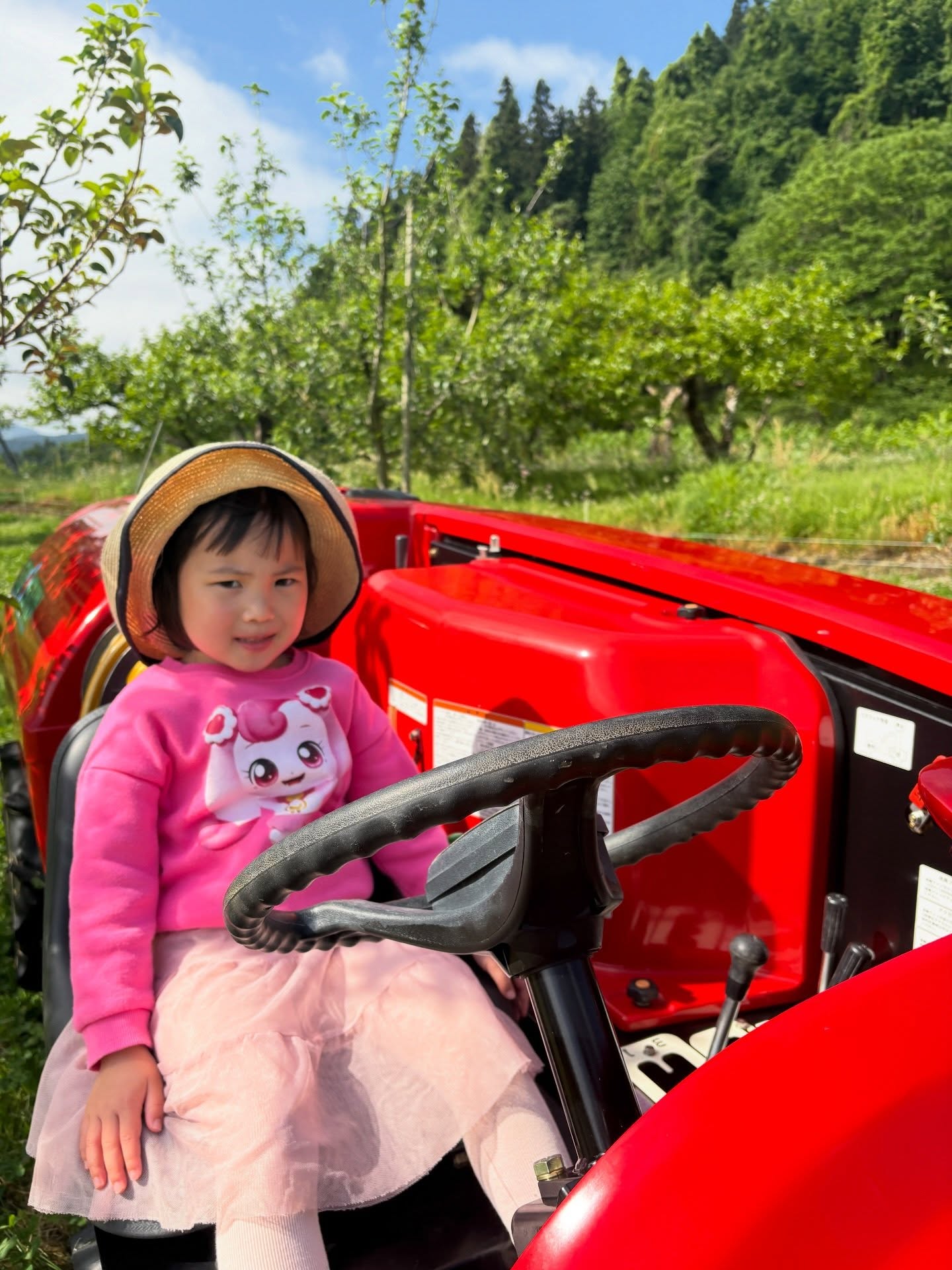 美しいさくらんぼがテーブルに並ぶまでには、たくさんの努力が潜