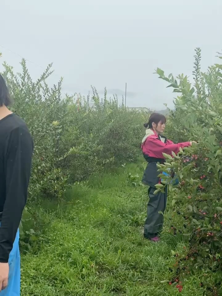 雨の中の冒険