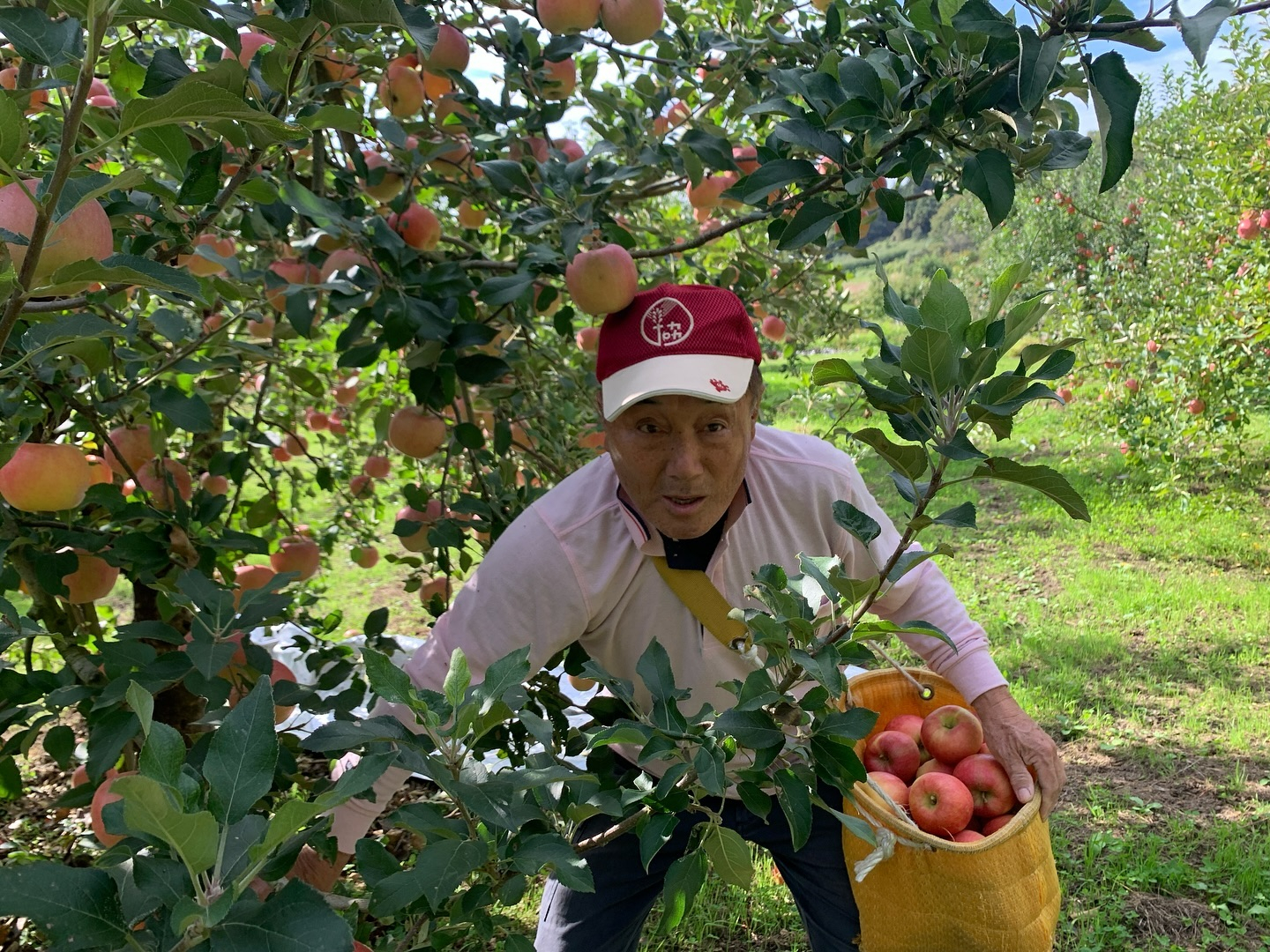 おはようございます