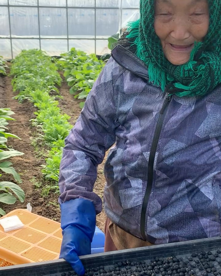 我が家の看板娘、愛らしいおばあちゃん仲ちゃんは、この度白寿を