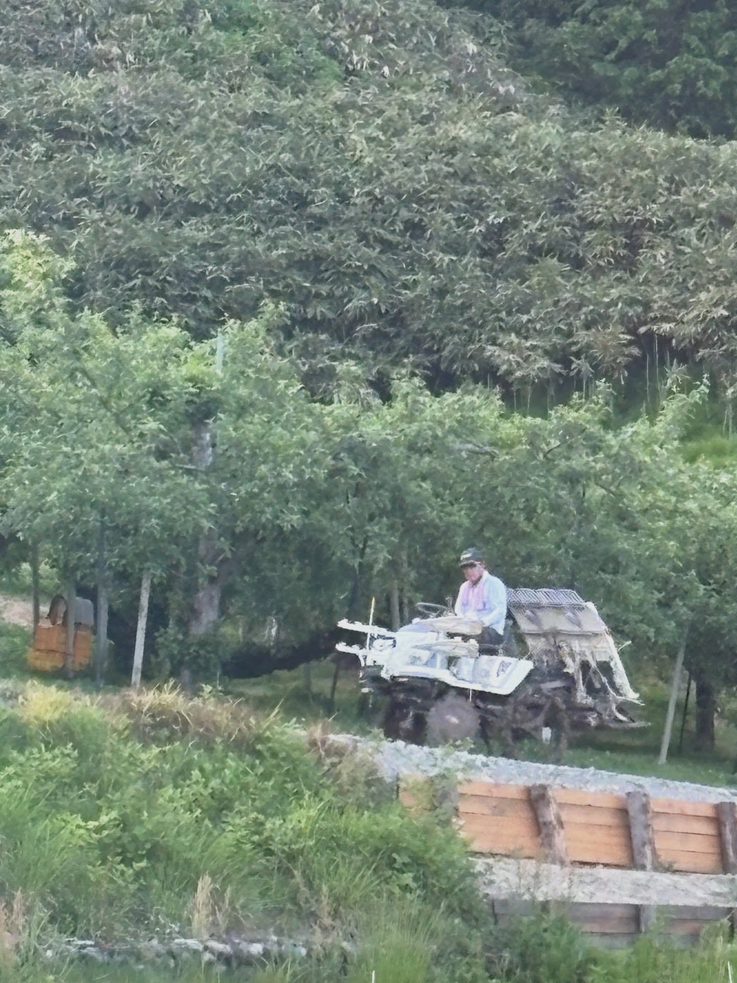 今日も元気にいきましょう